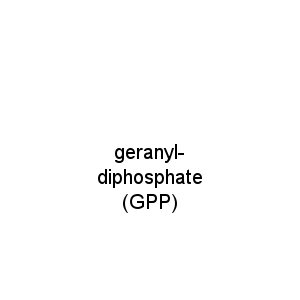 geranyl-diphosphate (GPP)